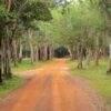 Wilpattu National Park